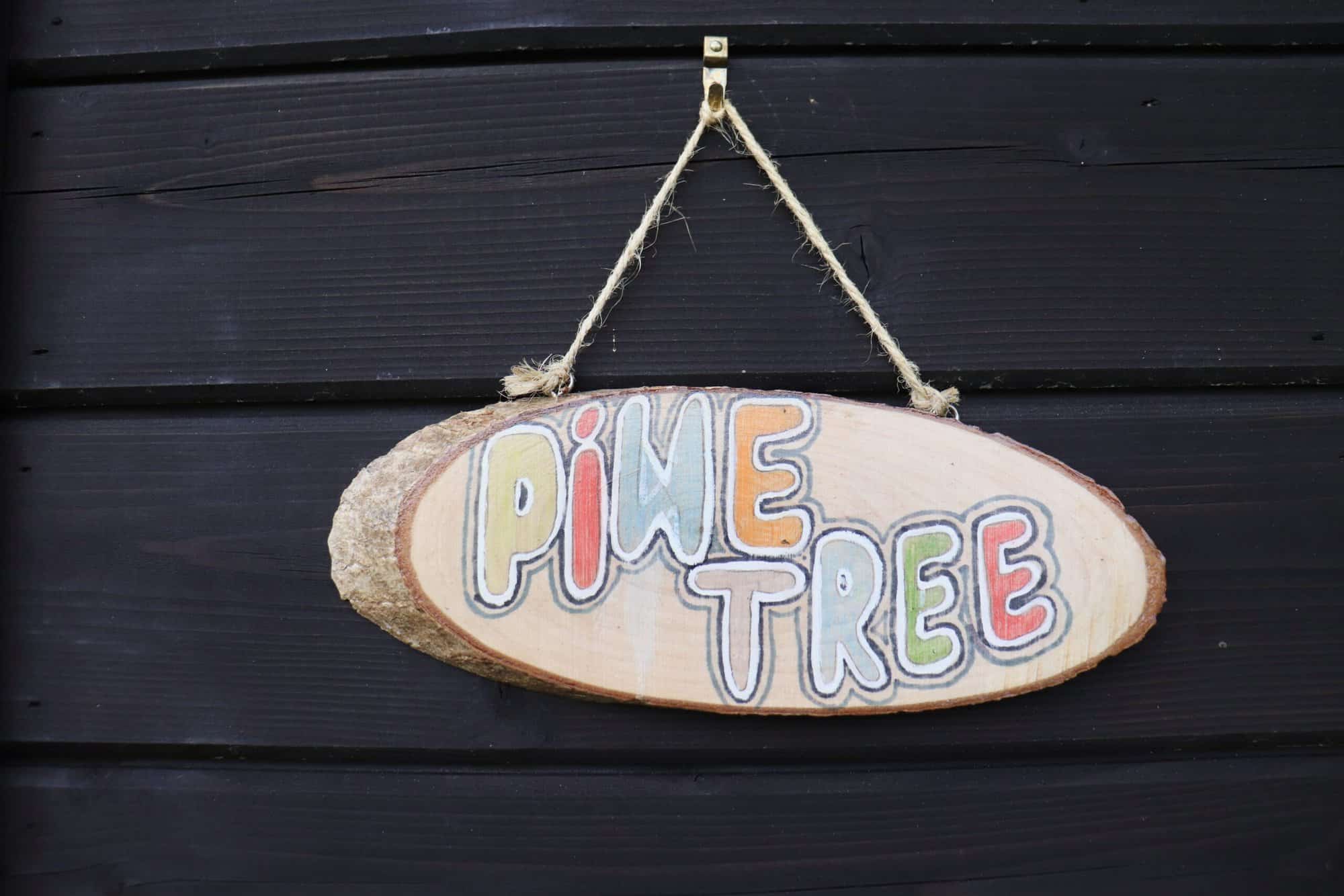pine tree glamping ark